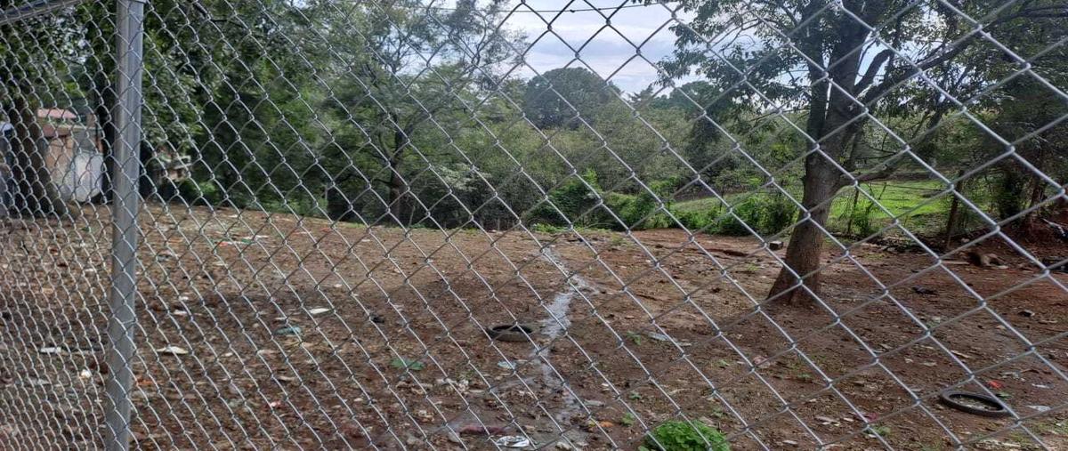 Foto de terreno habitacional en venta en  , mazamitla, mazamitla, jalisco, 26805867 No. 05