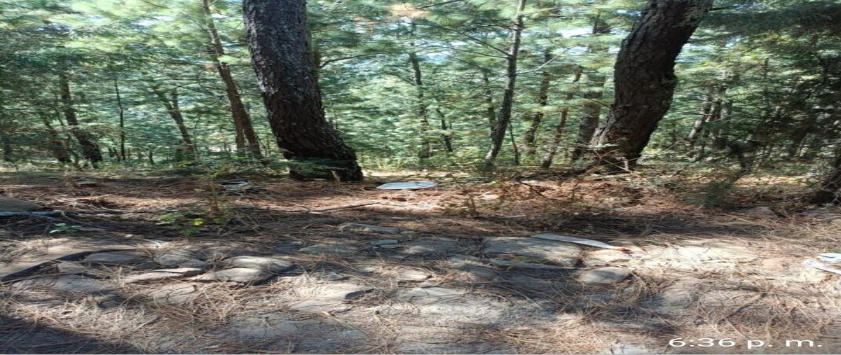 Foto de terreno habitacional en venta en  , mazamitla, mazamitla, jalisco, 0 No. 03