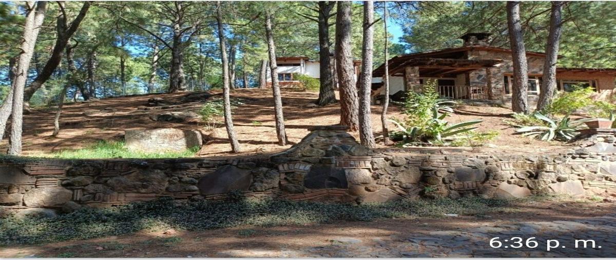 Foto de terreno habitacional en venta en  , mazamitla, mazamitla, jalisco, 0 No. 04