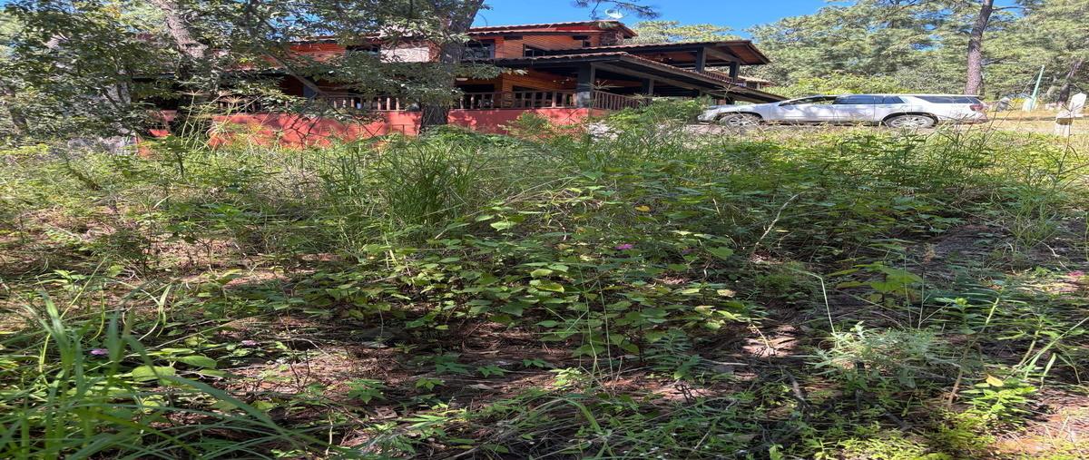 Foto de terreno habitacional en venta en  , mazamitla, mazamitla, jalisco, 0 No. 01