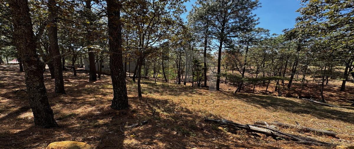 Foto de terreno habitacional en , mazamitla, mazamitla, jalisco, 0 foto 05 Foto de terreno habitacional en venta en , mazamitla, mazamitla, jalisco, 0 No. 05
