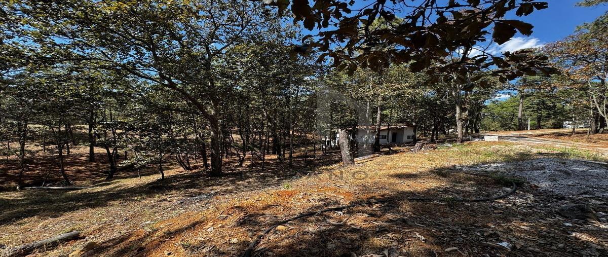 Foto de terreno habitacional en venta en  , mazamitla, mazamitla, jalisco, 0 No. 03