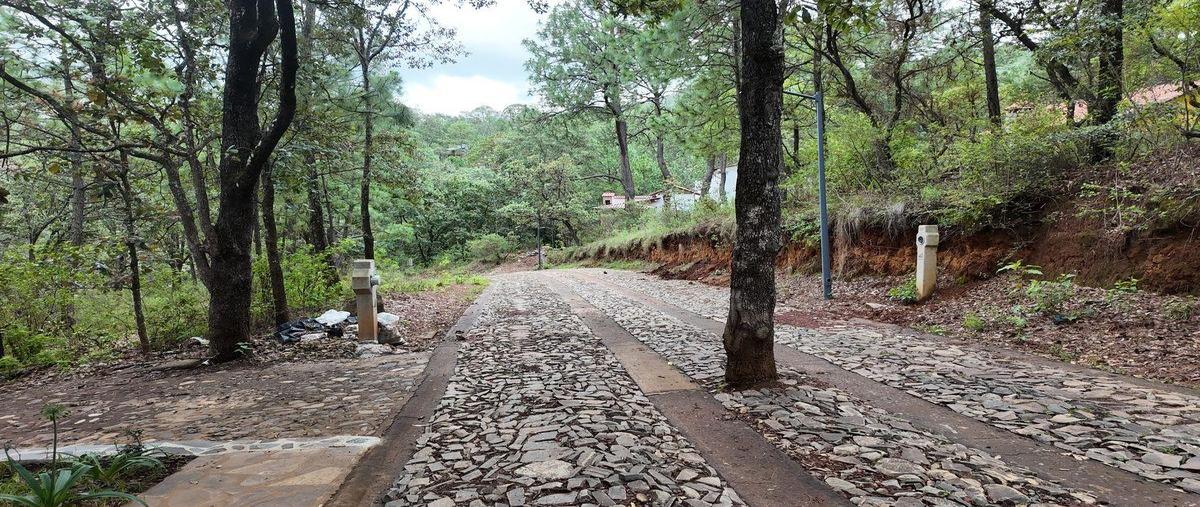 Foto de terreno habitacional en venta en  , mazamitla, mazamitla, jalisco, 0 No. 04