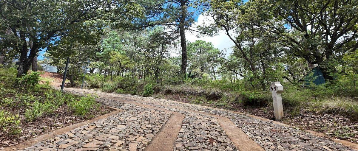 Foto de terreno habitacional en venta en  , mazamitla, mazamitla, jalisco, 0 No. 05