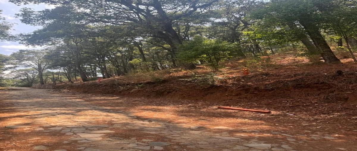 Foto de terreno habitacional en venta en  , mazamitla, mazamitla, jalisco, 0 No. 03