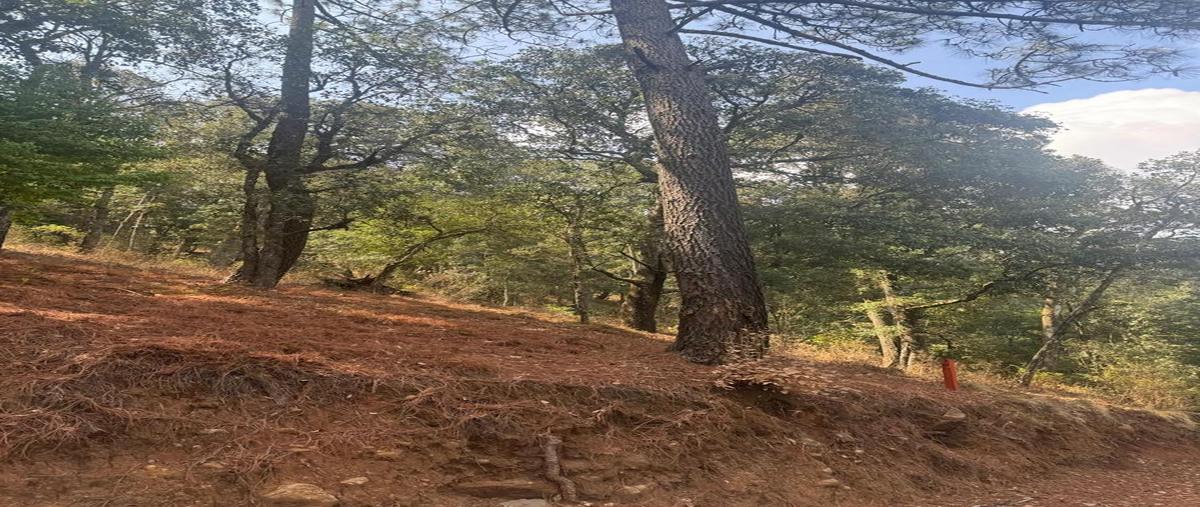 Foto de terreno habitacional en venta en  , mazamitla, mazamitla, jalisco, 0 No. 05