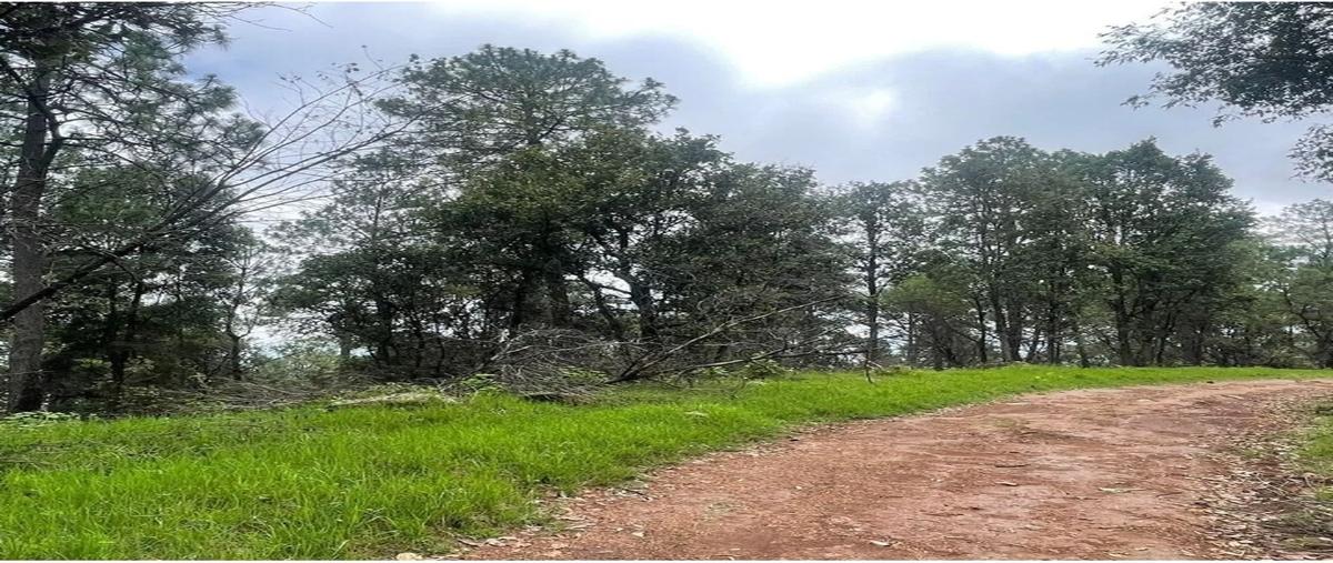 Foto de terreno habitacional en venta en . , mazamitla, mazamitla, jalisco, 0 No. 02