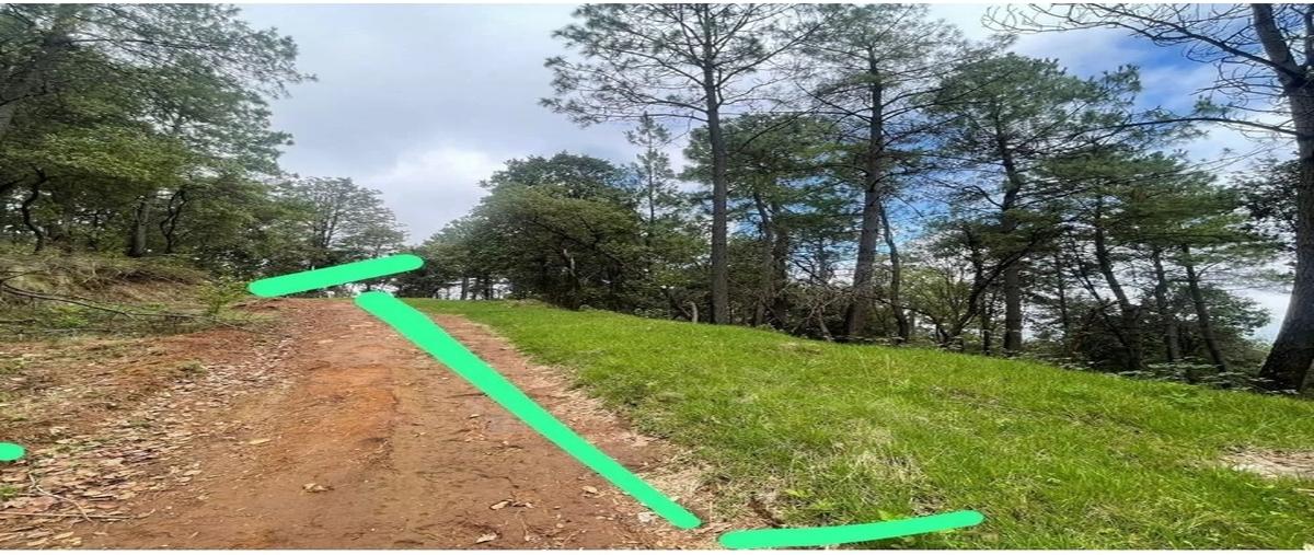 Foto de terreno habitacional en venta en . , mazamitla, mazamitla, jalisco, 0 No. 03