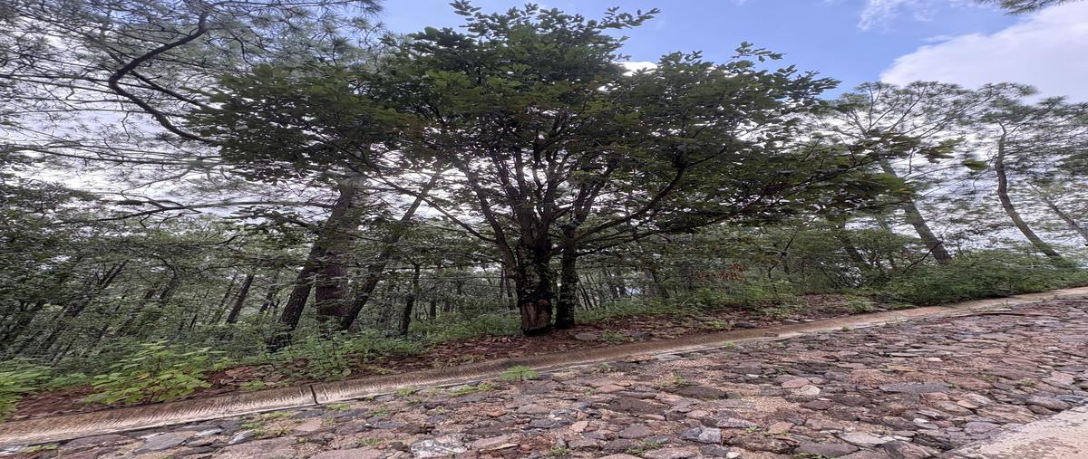 Foto de terreno habitacional en venta en  , mazamitla, mazamitla, jalisco, 30316233 No. 04