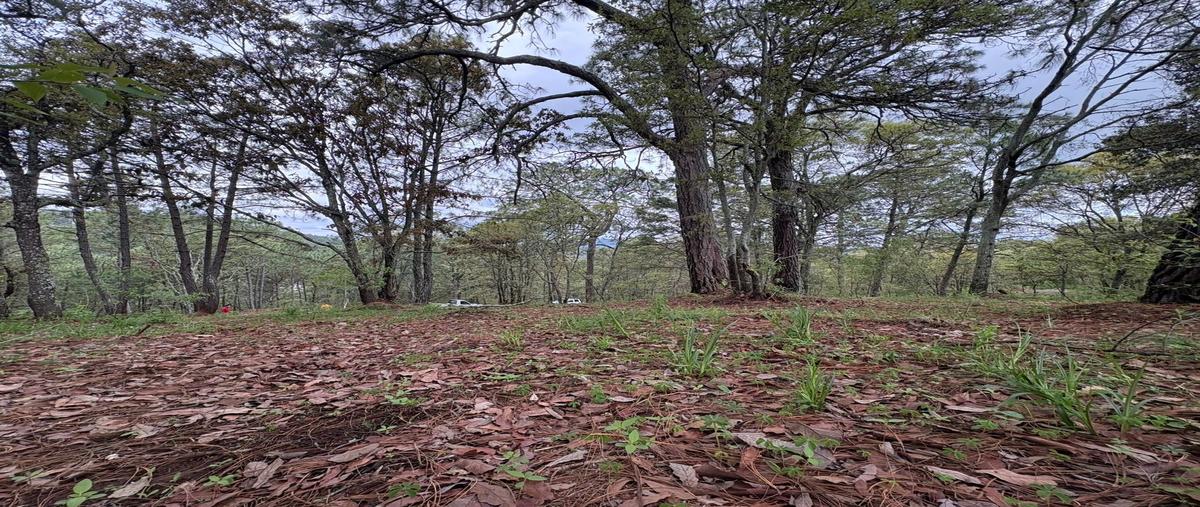 Foto de terreno habitacional en venta en  , mazamitla, mazamitla, jalisco, 0 No. 05