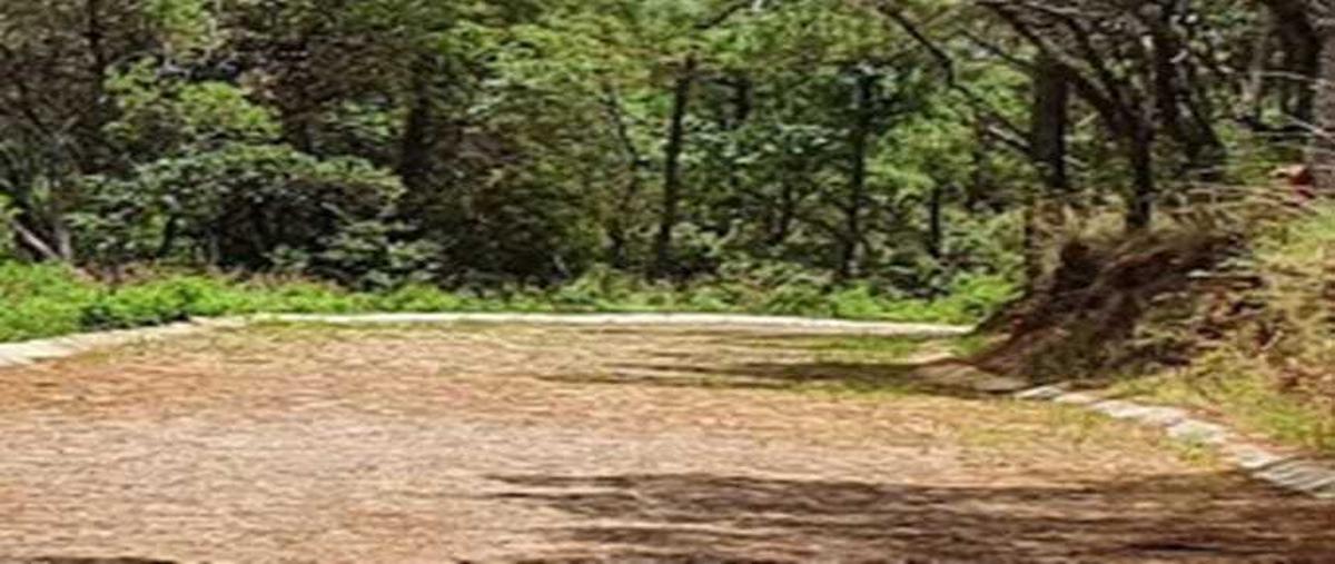 Foto de terreno habitacional en venta en  , mazamitla, mazamitla, jalisco, 30542228 No. 05