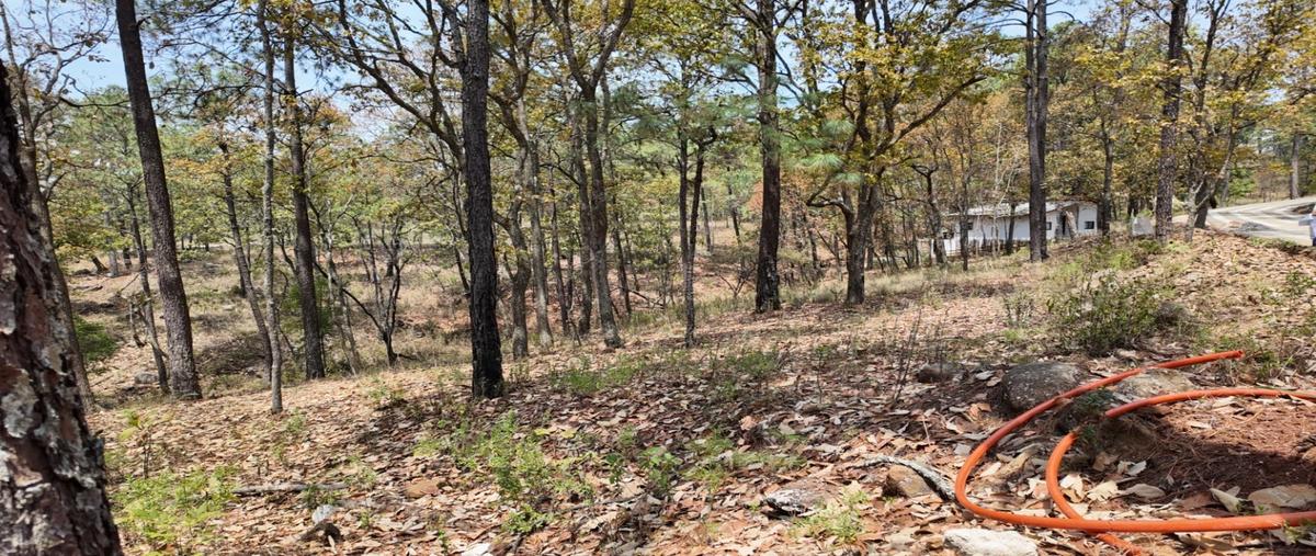 Foto de terreno habitacional en venta en  , mazamitla, mazamitla, jalisco, 0 No. 03