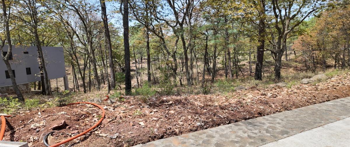 Foto de terreno habitacional en venta en  , mazamitla, mazamitla, jalisco, 0 No. 04