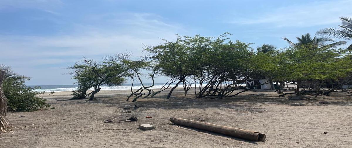 Foto de terreno habitacional en venta en  , mazunte, santa maría tonameca, oaxaca, 25257875 No. 03