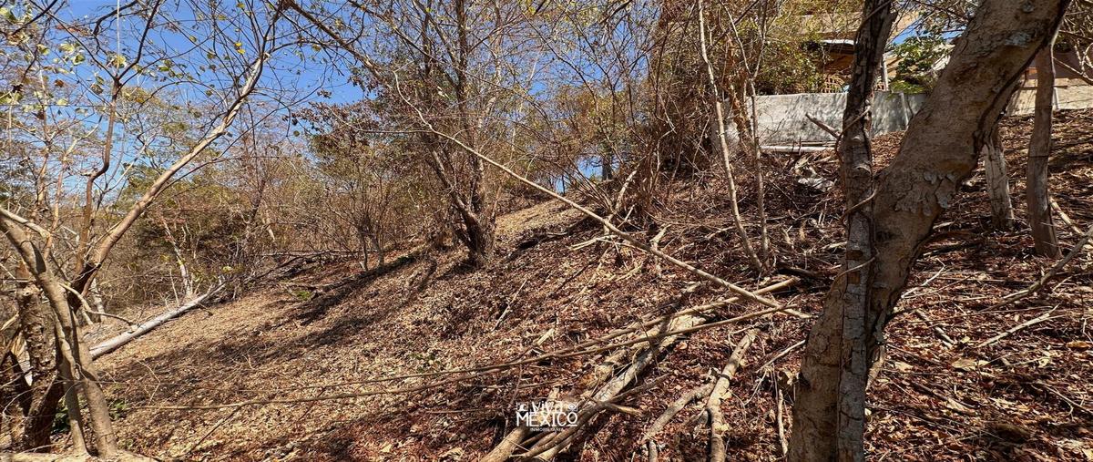 Foto de terreno habitacional en venta en  , mazunte, santa maría tonameca, oaxaca, 0 No. 03