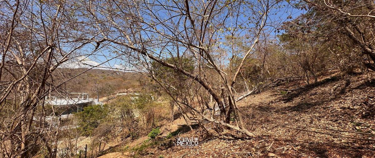 Foto de terreno habitacional en venta en  , mazunte, santa maría tonameca, oaxaca, 0 No. 04