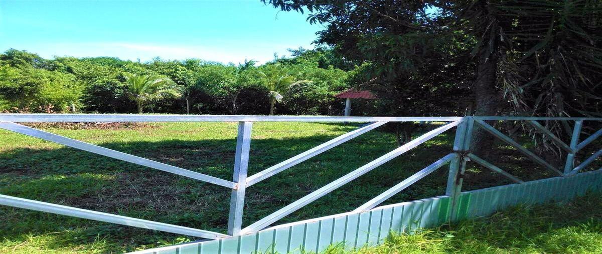 Foto de terreno habitacional en , medellin de bravo, medellín de bravo, veracruz de ignacio de la llave, 17655639 foto 02 Foto de terreno habitacional en venta en , medellin de bravo, medellín de bravo, veracruz de ignacio de la llave, 17655639 No. 02