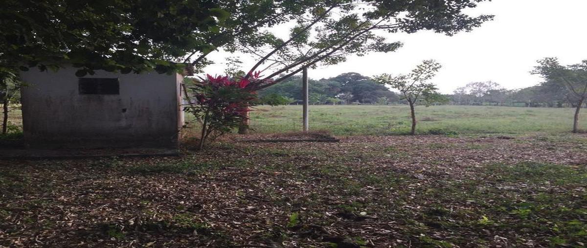 Foto de terreno habitacional en venta en  , medellin de bravo, medellín de bravo, veracruz de ignacio de la llave, 23849511 No. 05