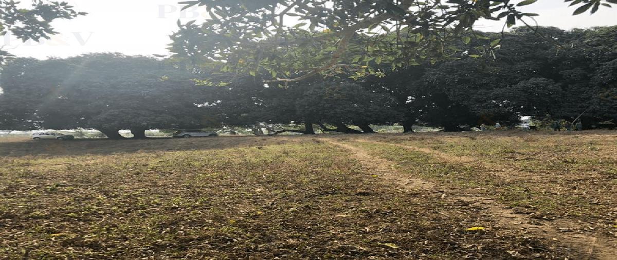 Foto de terreno habitacional en venta en  , medellin de bravo, medellín de bravo, veracruz de ignacio de la llave, 0 No. 03