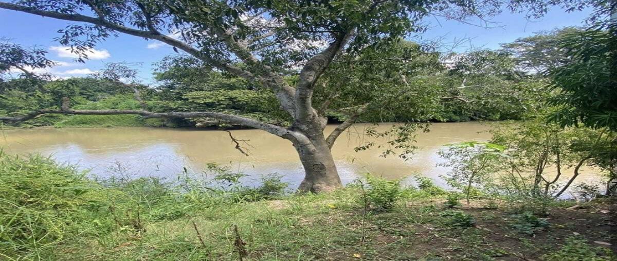 Foto de terreno habitacional en , medellin de bravo, medellín de bravo, veracruz de ignacio de la llave, 29334512 foto 03 Foto de terreno habitacional en venta en , medellin de bravo, medellín de bravo, veracruz de ignacio de la llave, 29334512 No. 03