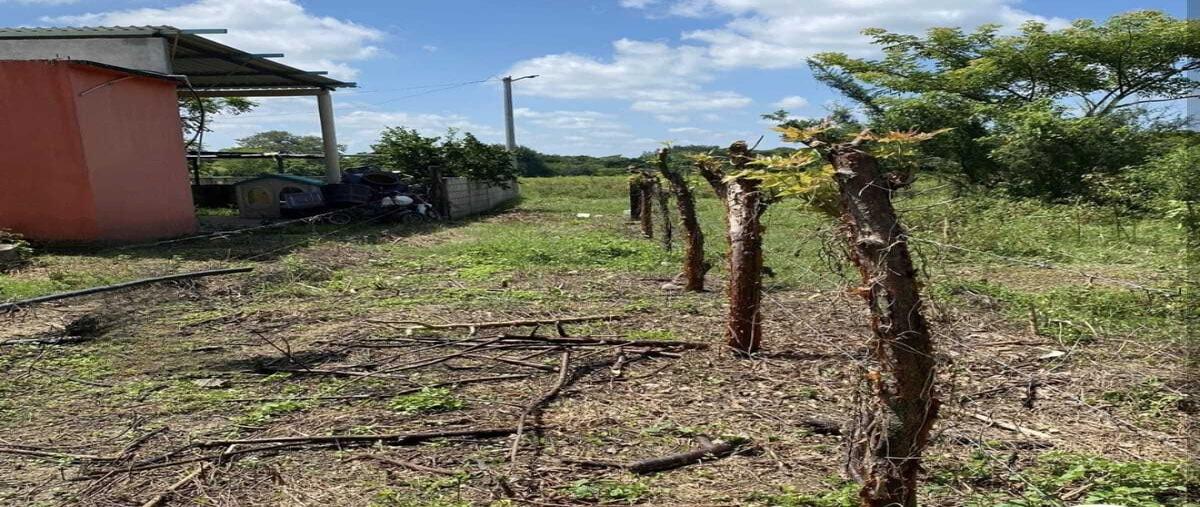 Foto de terreno habitacional en , medellin de bravo, medellín de bravo, veracruz de ignacio de la llave, 0 foto 04 Foto de terreno habitacional en venta en , medellin de bravo, medellín de bravo, veracruz de ignacio de la llave, 0 No. 04