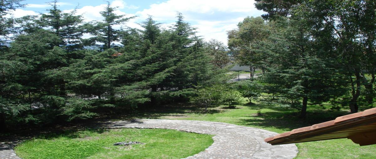 Foto de casa en renta en media luna , cacalomacán, toluca, méxico, 28252099 No. 04