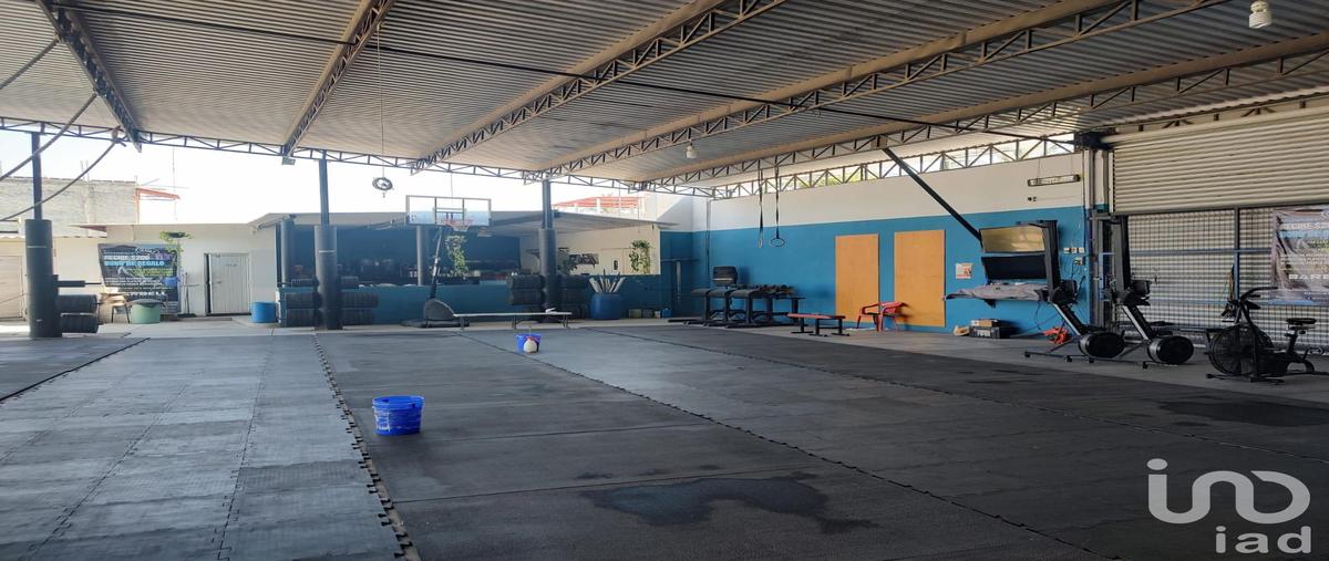 Foto de terreno comercial en venta en melchor ocampo 115, san josÃ© del valle, bahÃ­a de banderas, nayarit, 30555667 No. 05