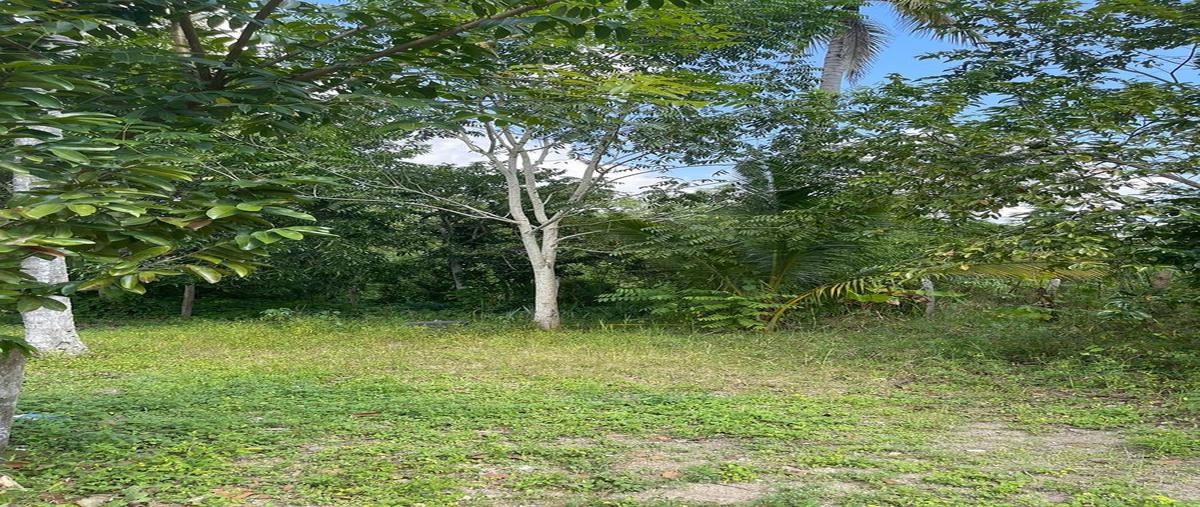 Foto de terreno habitacional en venta en  , melchor ocampo, cárdenas, tabasco, 0 No. 03