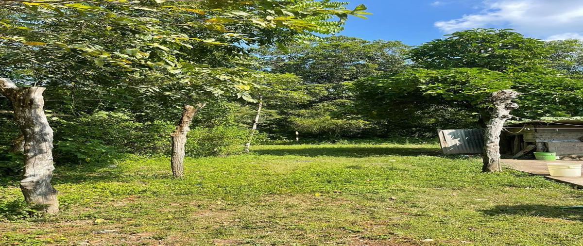 Foto de terreno habitacional en venta en  , melchor ocampo, cárdenas, tabasco, 0 No. 04