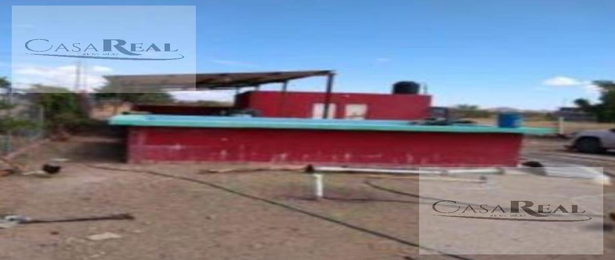 Foto de casa en venta en  , melchor ocampo, chihuahua, chihuahua, 26497128 No. 03