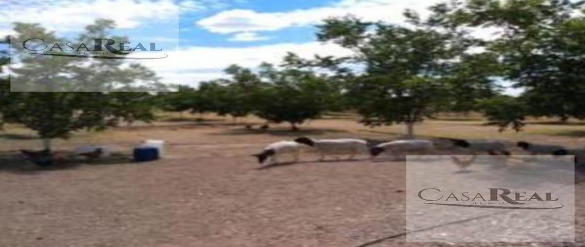 Foto de casa en venta en  , melchor ocampo, chihuahua, chihuahua, 26497128 No. 04