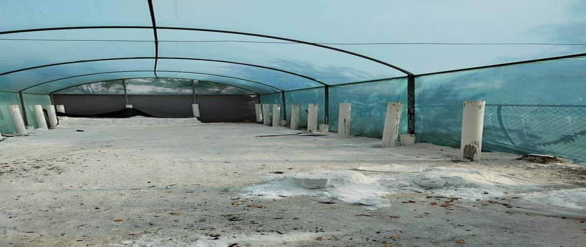 Foto de bodega en venta en melchor ocampo , el toreo, cuauhtémoc, colima, 25636897 No. 04