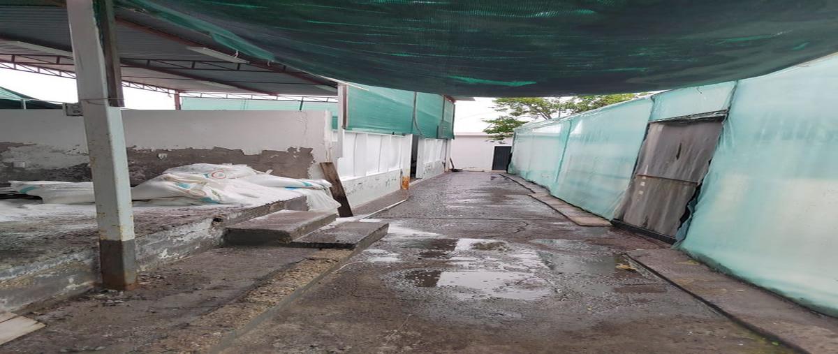 Foto de bodega en venta en melchor ocampo , el toreo, cuauhtémoc, colima, 25636897 No. 05