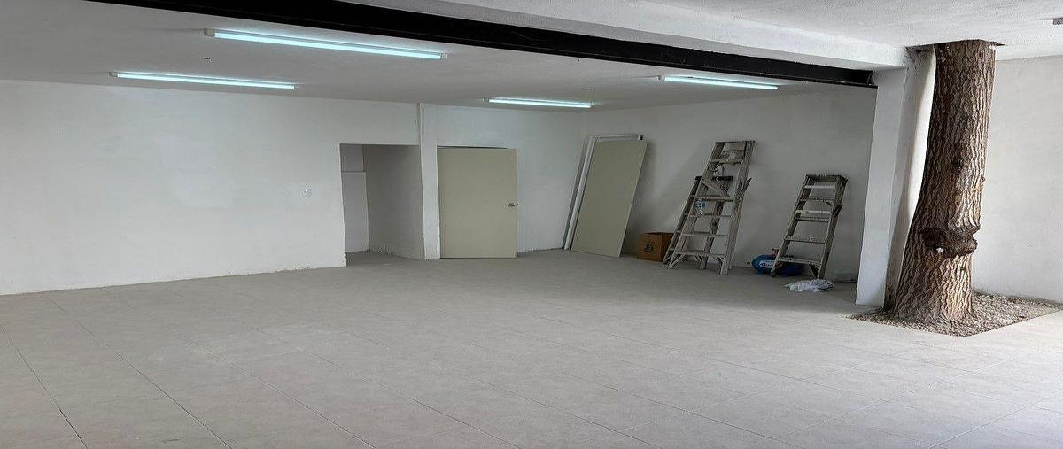 Foto de local en renta en  , melchor ocampo, mérida, yucatán, 0 No. 04