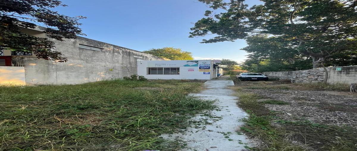 Foto de local en renta en  , meliton salazar, mérida, yucatán, 0 No. 04