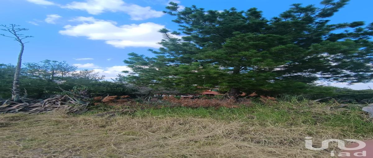 Foto de terreno habitacional en venta en membrillo 113, jacona de plancarte centro, jacona, michoacán de ocampo, 28875893 No. 01