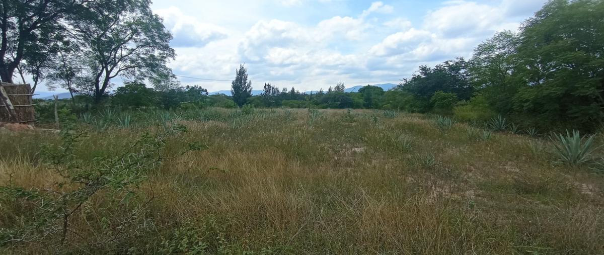 Foto de terreno habitacional en venta en mengoli de morelos , mengoli de morelos, miahuatlán de porfirio díaz, oaxaca, 30381688 No. 03