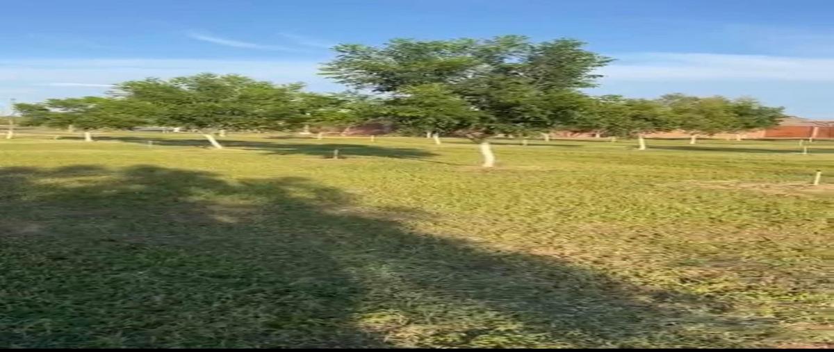 Foto de rancho en venta en  , meoqui, meoqui, chihuahua, 0 No. 03