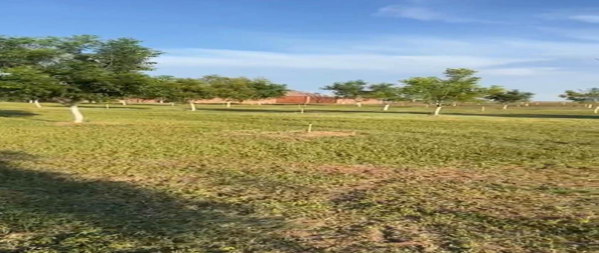 Foto de rancho en venta en  , meoqui, meoqui, chihuahua, 0 No. 04