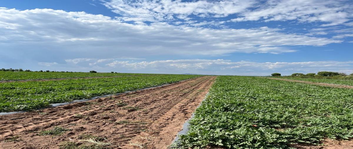 Foto de rancho en venta en  , meoqui, meoqui, chihuahua, 0 No. 04