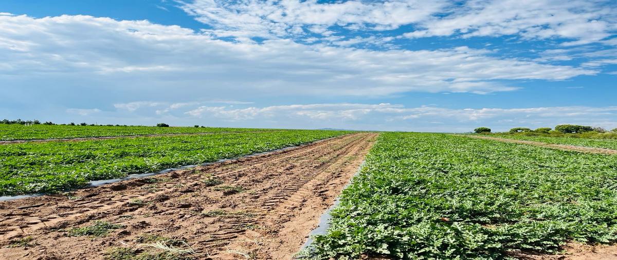 Foto de rancho en venta en  , meoqui, meoqui, chihuahua, 0 No. 05