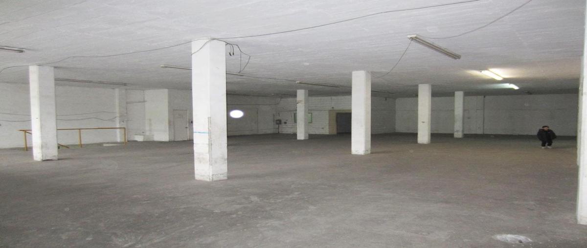 Foto de bodega en renta en  , mercado de abastos poniente, santa catarina, nuevo león, 0 No. 03