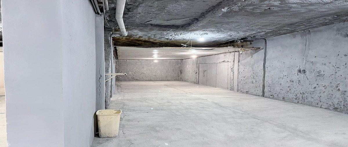 Foto de bodega en renta en  , mercado de abastos poniente, santa catarina, nuevo león, 0 No. 05