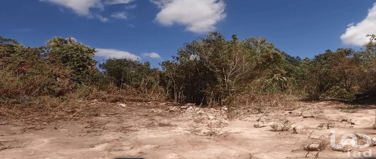 Foto de terreno habitacional en venta en mercurio , alfredo v bonfil, benito juárez, quintana roo, 0 No. 02