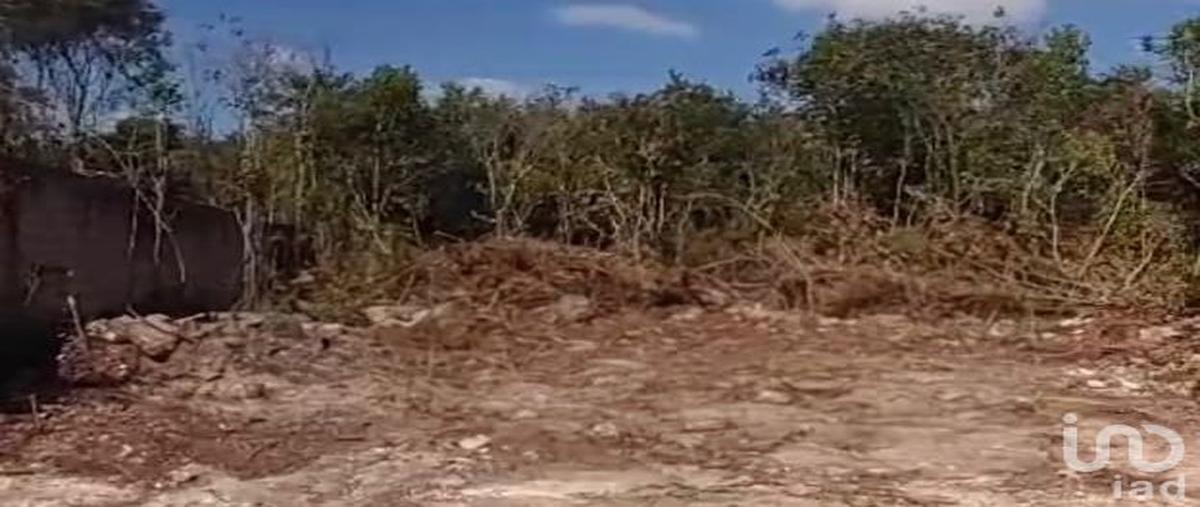 Foto de terreno habitacional en venta en mercurio , alfredo v bonfil, benito juárez, quintana roo, 0 No. 03