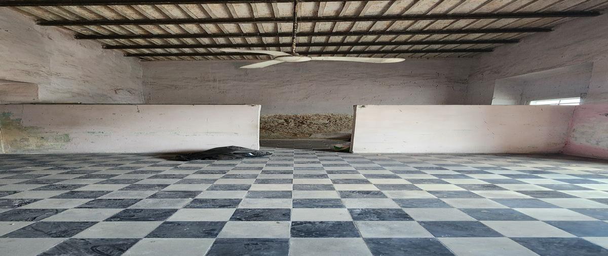 Foto de casa en venta en mérida centro , merida centro, mérida, yucatán, 29843160 No. 04