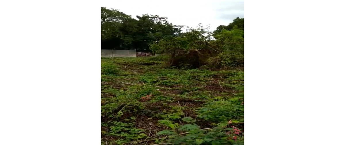 Foto de terreno habitacional en venta en  , merida centro, mérida, yucatán, 0 No. 04