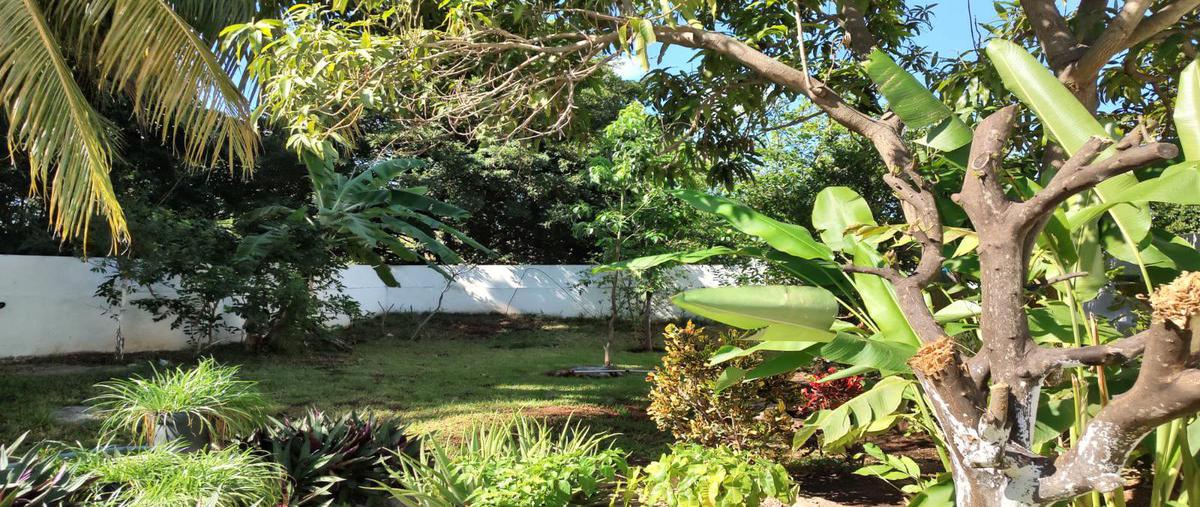 Foto de casa en venta en  , merida centro, mérida, yucatán, 0 No. 05