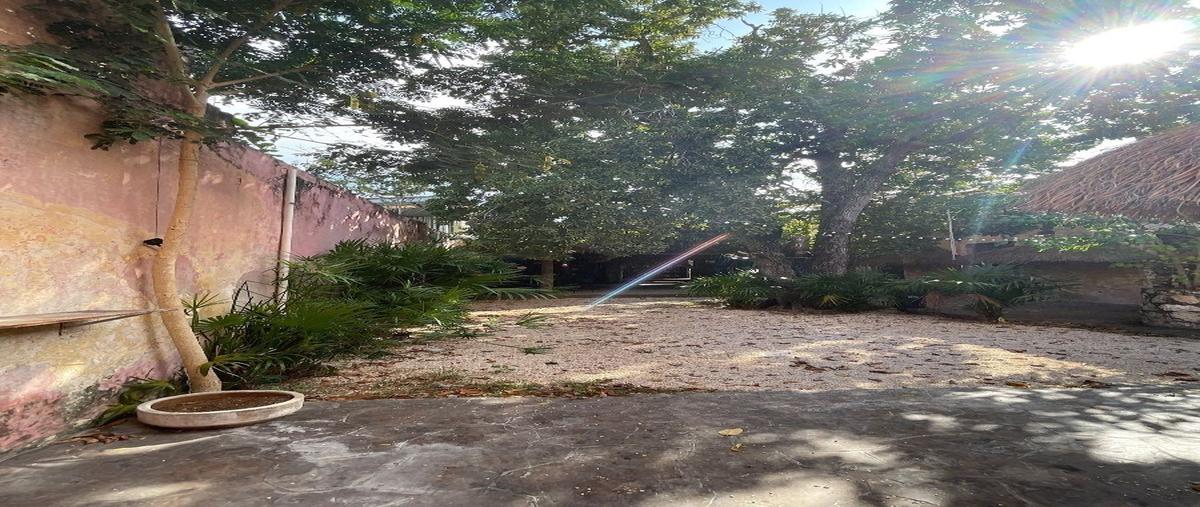 Foto de local en renta en  , merida centro, mérida, yucatán, 27610701 No. 05