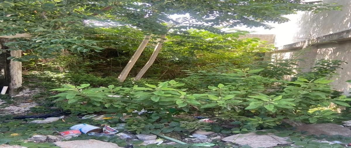 Foto de terreno habitacional en venta en  , merida centro, mérida, yucatán, 27680878 No. 03